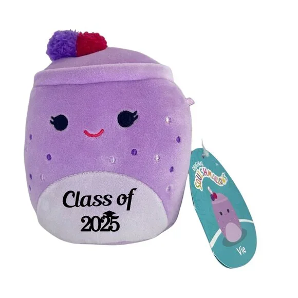 Set of 6 Squishmallows 5 Mini Plush Customized with Class of 2025